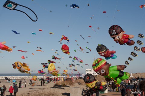 NIEUW : SINT BERNARDUSFEESTEN IN NIEUWPOORT